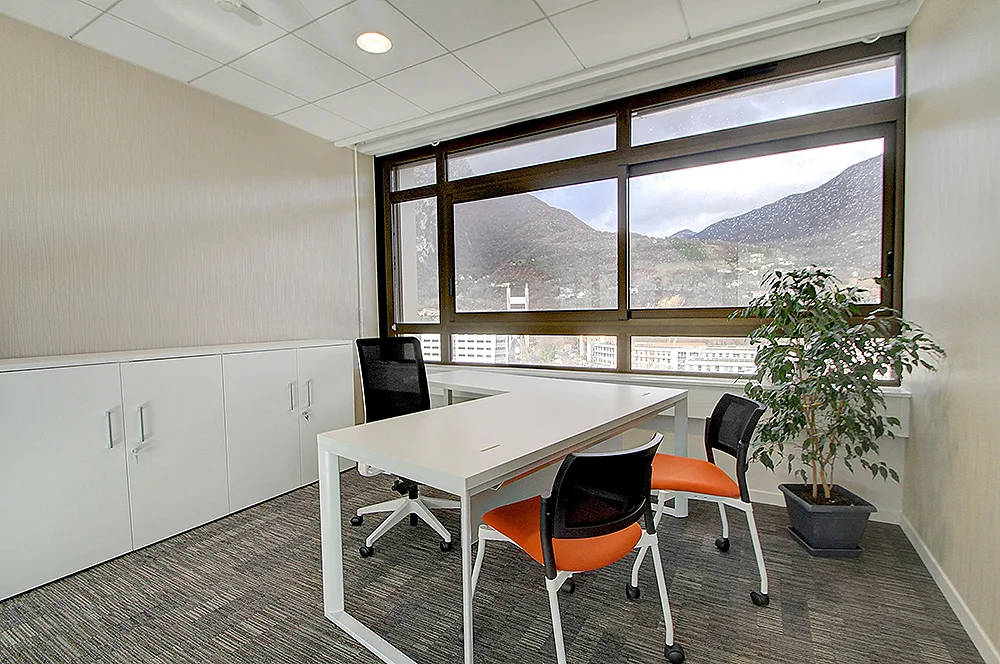 Bureau de travail (détail))